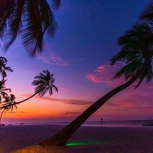 Meet your Posher, Jillian